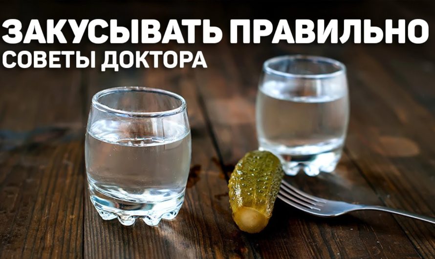 как ПРАВИЛЬНО ЗАКУСЫВАТЬ, от доктора Давида! Вареничная 1 #43 SPASIBODA Москва