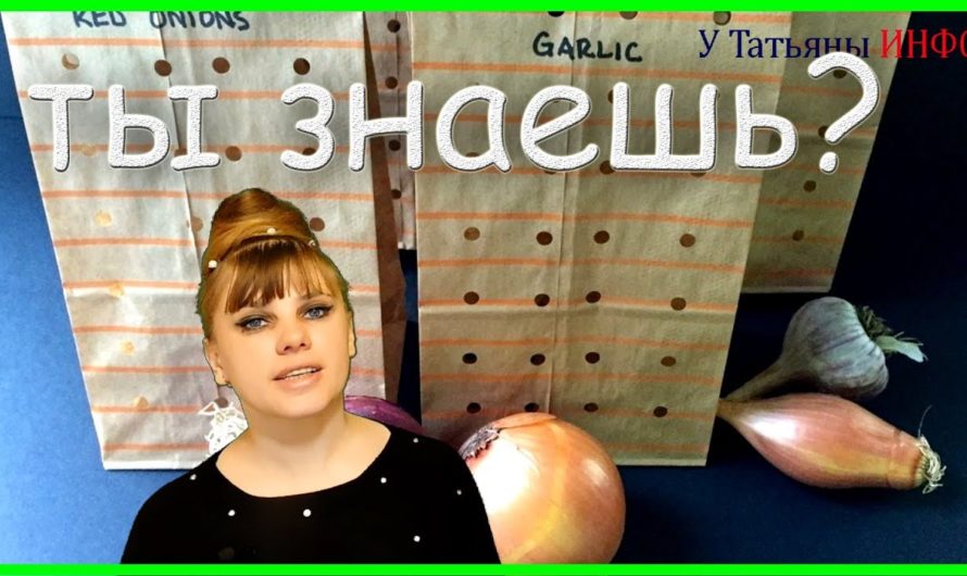 Найден ЛУЧШИЙ способ хранения лука и чеснока в КВАРТИРЕ!
