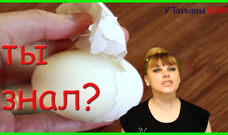 Почисть свое ЯЙЦО легко и быстро !!!