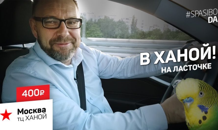 Вьетнамское кафе в Ханой-центре #10 SPASIBODA